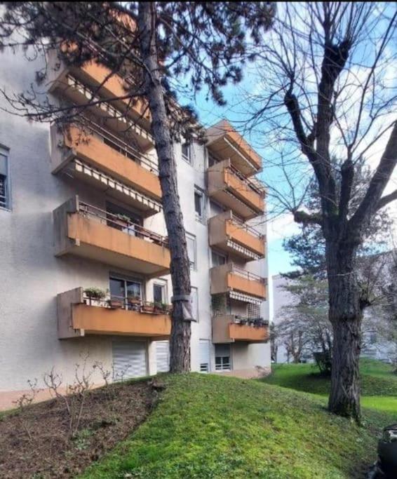 Chazi And Cosy Appartement